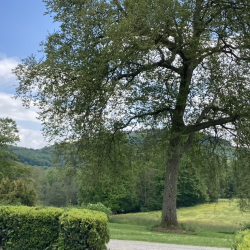 Stage de printemps, merci !